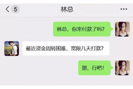 阳原融资清欠服务